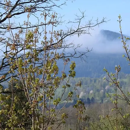 Apartamentstronieslaskie アパート