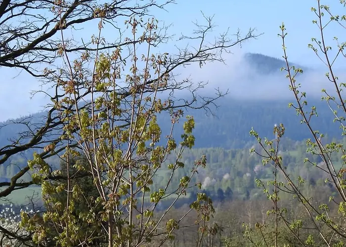 Apartamentstronieslaskie Daire